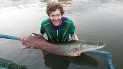 Arapaima gigas