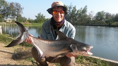 Pangasius sanitwongsei