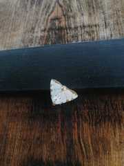 Eulepidotis testaceiceps