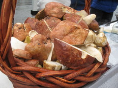 Boletus rex-veris