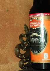 Leptodeira nigrofasciata