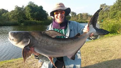 Pangasius sanitwongsei