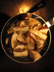Boletus rex-veris image