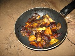 Butyriboletus primiregius