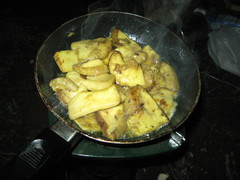 Butyriboletus primiregius