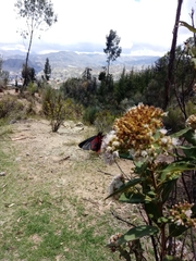 Metardaris cosinga