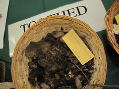 Sarcodon subincarnatus