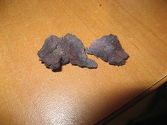 Hypochnella violacea