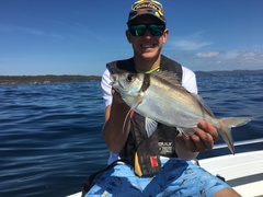 Nemadactylus macropterus