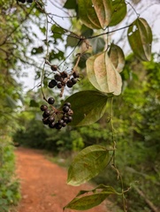 © Zac Peterson, some rights reserved (CC-BY-NC)