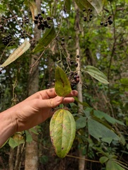 © Zac Peterson, some rights reserved (CC-BY-NC)