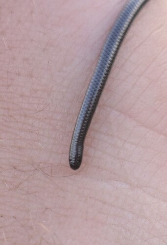Black Thread Snake