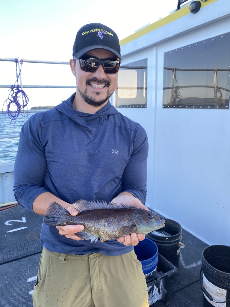 Connor Fish Cunner from North Atlantic Ocean, Lunenburg, NS, CA on September 17 ...