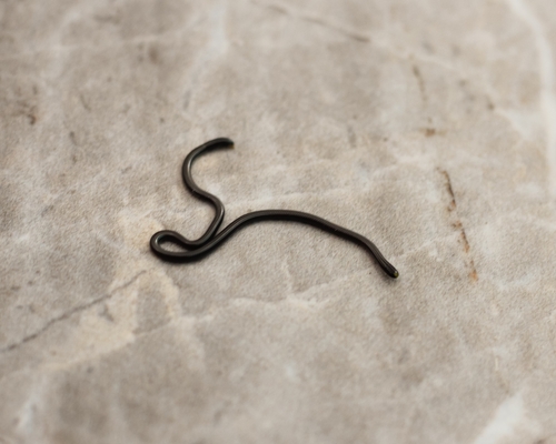 Epictia borapeliotes