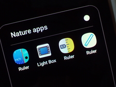 Zygogonium ericetorum