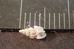 Epitonium pyramidale