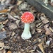 Fly Agaric