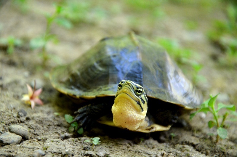 Photo by Fajar Kaprawi