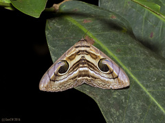 Spirama