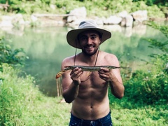 Lepisosteus platostomus