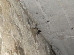 Streptoprocne rutila