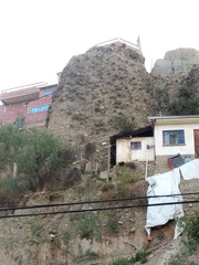 Tillandsia sphaerocephala