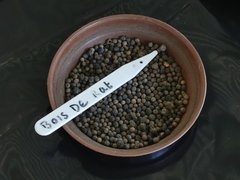 Coptosperma borbonicum
