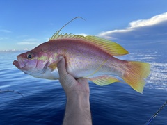 Longtail Bass photo 1