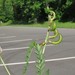 Ozark Milkvetch - Photo (c) jim_keesling, some rights reserved (CC BY-NC), uploaded by jim_keesling