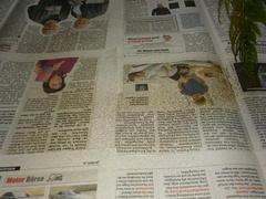 Polystichum aculeatum