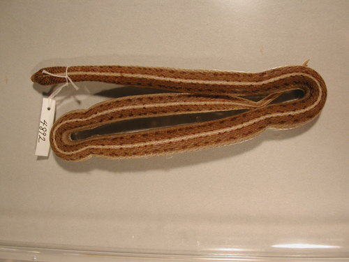Lined Snake (Tropidoclonion lineatum), a species recorded in Kansas