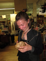 Caloboletus frustosus