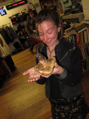 Caloboletus frustosus