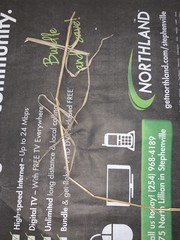 Cynodon dactylon dactylon