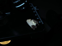 Hypomyces armeniacus