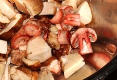 Agaricus brunneofibrillosus