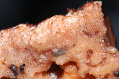 Amylocystis lapponica