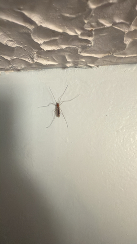 Unknown species found near Michigan, US