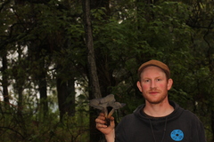 Omphalotus mexicanus