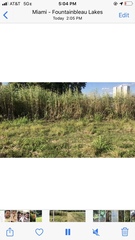 Poaceae