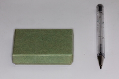 Gymnopilus palmicola