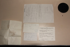 Psilocybe muliercula