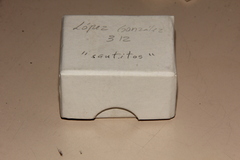 Psilocybe muliercula