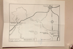 Psilocybe muliercula