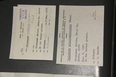 Psilocybe subaeruginascens