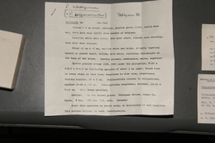 Psilocybe subaeruginascens