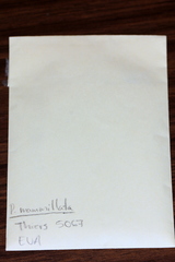 Psilocybe mammillata