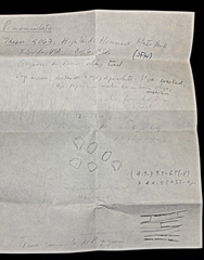 Psilocybe mammillata