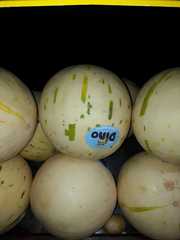 Cucumis melo inodorus