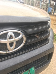 Camaroptera brachyura